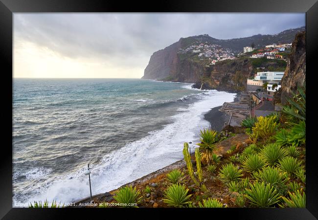 View of Cape Girão with Cactus on the foreground in Camara de Lobos, Madeira Framed Print by Luis Pina