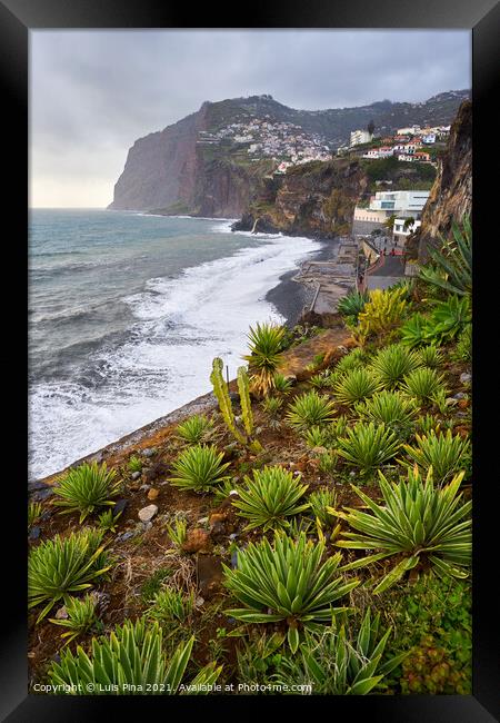 View of Cape Girão with Cactus on the foreground in Camara de Lobos, Madeira Framed Print by Luis Pina