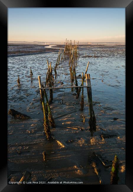 Carrasqueira Palafitic Pier in Comporta, Portugal at sunset Framed Print by Luis Pina