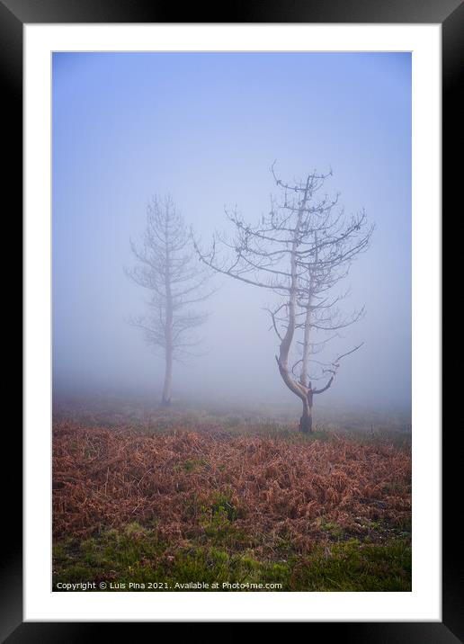 Trees in the fog in Lousa mountain, Portugal Framed Mounted Print by Luis Pina