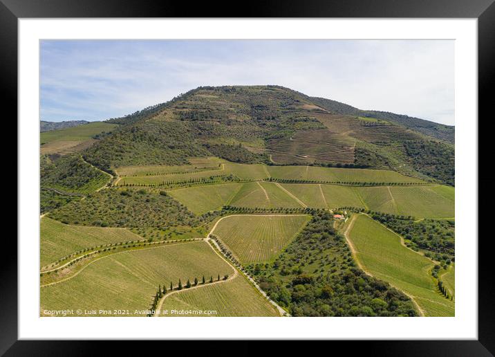 Douro river wine valley region drone aerial view, in Portugal Framed Mounted Print by Luis Pina