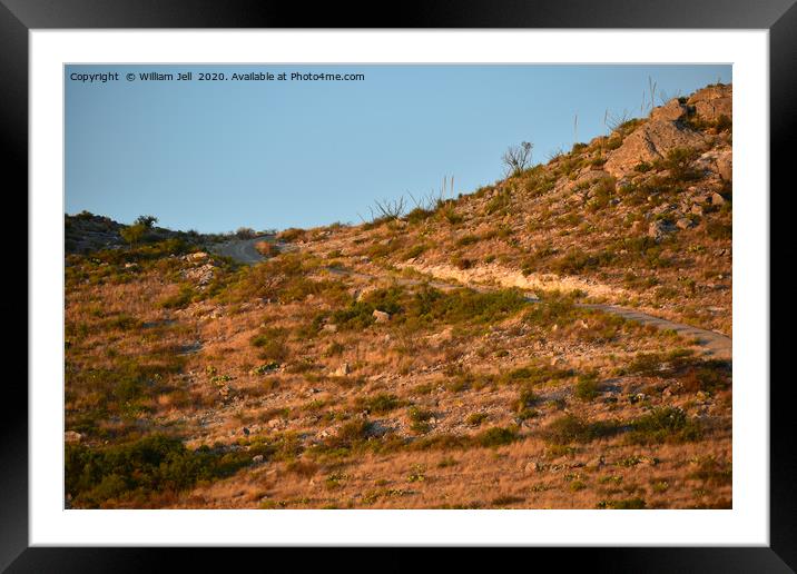 Mountain Road Early Morning Framed Mounted Print by William Jell