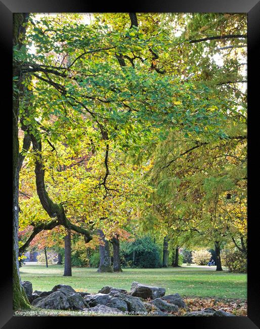 green tree in autumn Framed Print by  Bullysoft