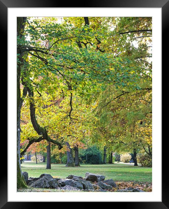 green tree in autumn Framed Mounted Print by  Bullysoft