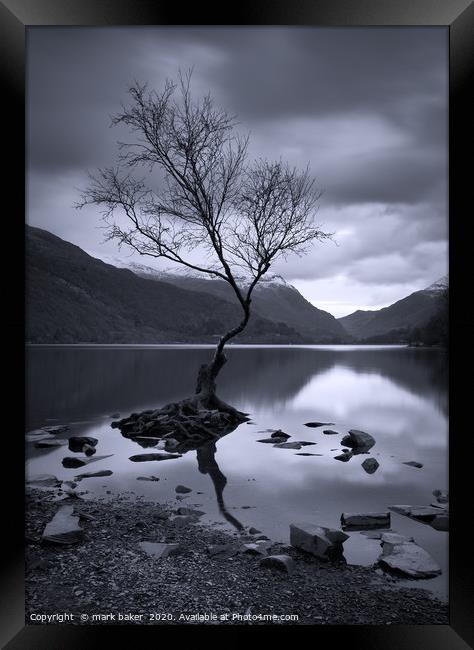The Lonely Tree Framed Print by mark baker