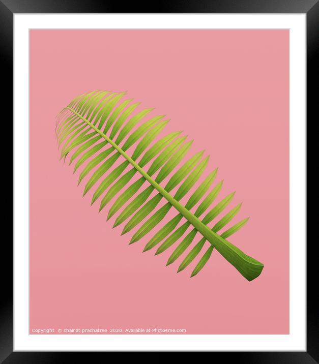 Palm frond on pastel color background,3d rendering Framed Mounted Print by chainat prachatree