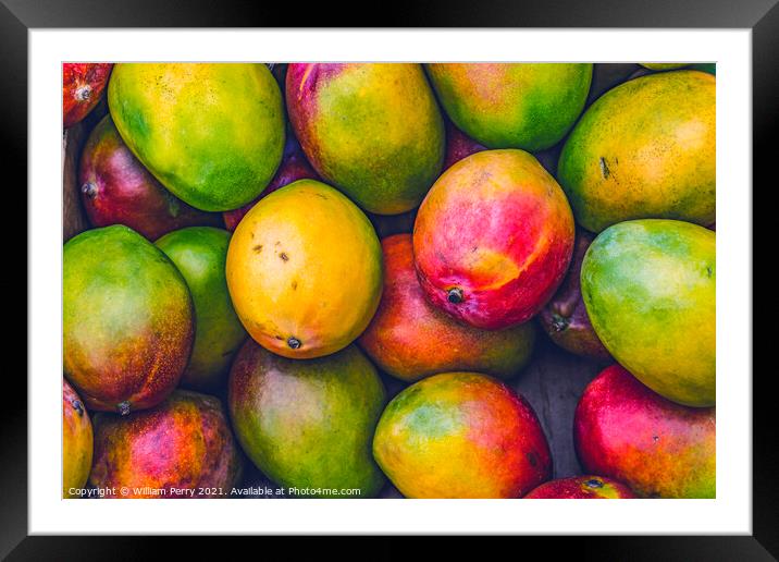 Yellow Red Orange Green Mangos Florida Framed Mounted Print by William Perry