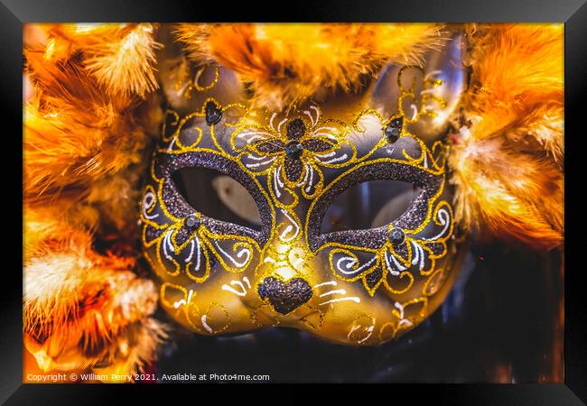Colorful Mask Feathers Mardi Gras New Orleans Louisiana Framed Print by William Perry