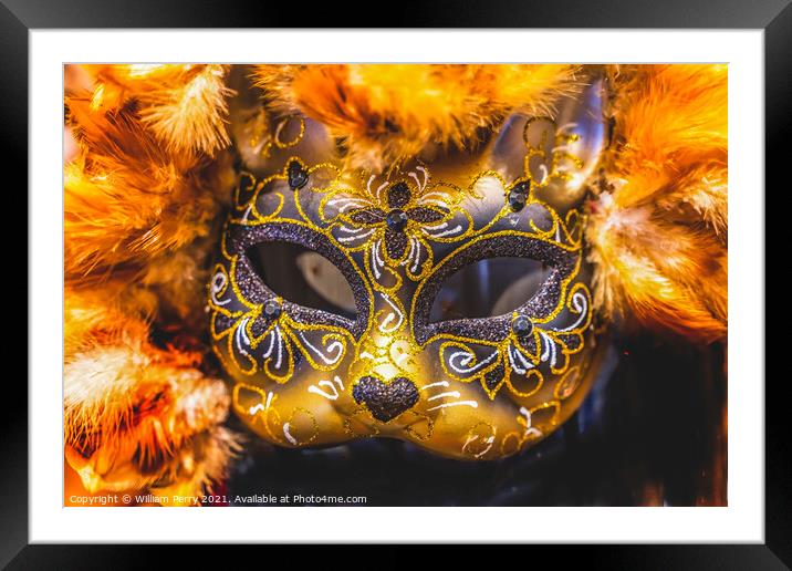 Colorful Mask Feathers Mardi Gras New Orleans Louisiana Framed Mounted Print by William Perry