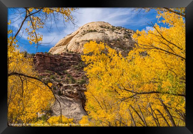 Yellow Trees White Rock Dome Valley Canyonlands Needles Utah Framed Print by William Perry