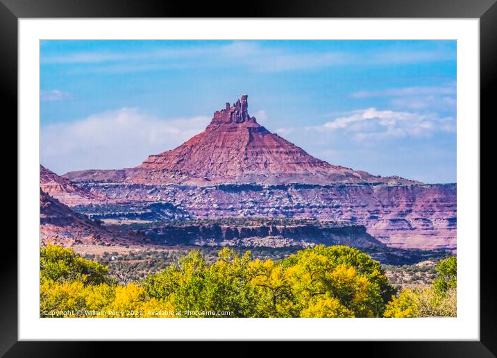 Pink Butte Yellow Cottonwood Trees Canyonlands Needles Utah Framed Mounted Print by William Perry