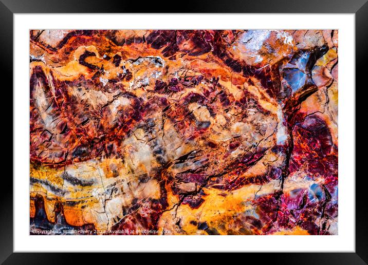 Petrified Wood Rock Abstract National Park Arizona Framed Mounted Print by William Perry