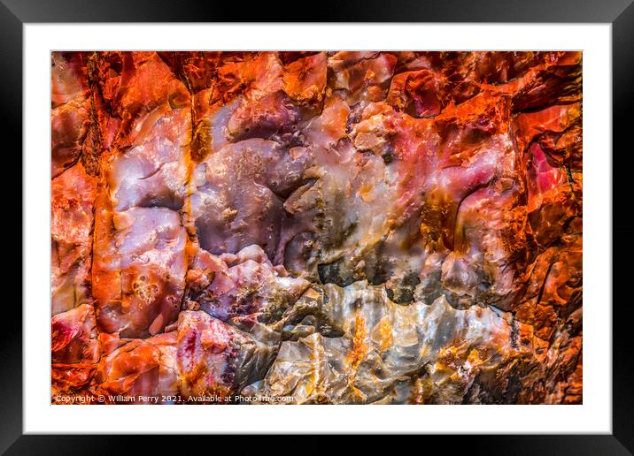 Petrified Wood Rock Abstract National Park Arizona Framed Mounted Print by William Perry