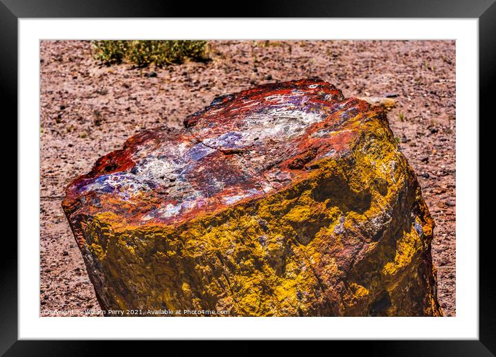Petrified Wood Rock Abstract National Park Arizona Framed Mounted Print by William Perry