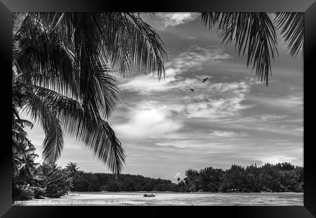 Black White Palm Trees Islands Boat Blue Water Moorea Tahiti Framed Print by William Perry