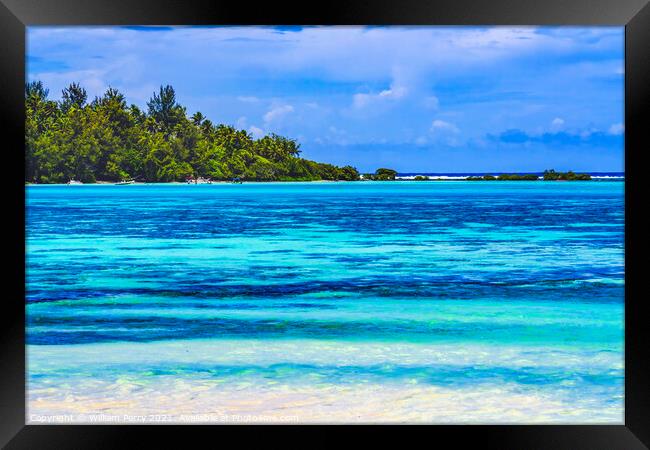 Colorful Beach Island Palm Trees Coral Reefs Blue Water Moorea T Framed Print by William Perry