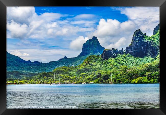 Colorful Cook's Bay Sailboats Mount Tohivea Moorea Tahiti Framed Print by William Perry