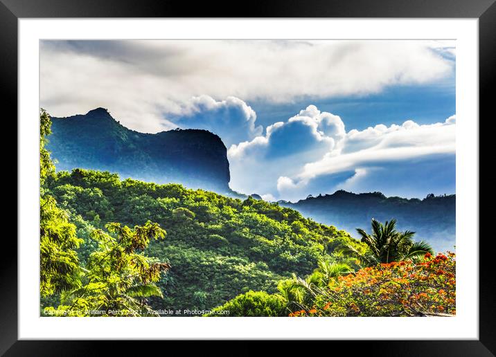 Colorful Flame Tree Mountain Moorea Tahiti Framed Mounted Print by William Perry