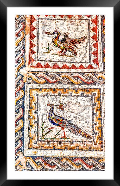Colorful Ancient Birds Mosaic Italica Roman City Seville Andalus Framed Mounted Print by William Perry