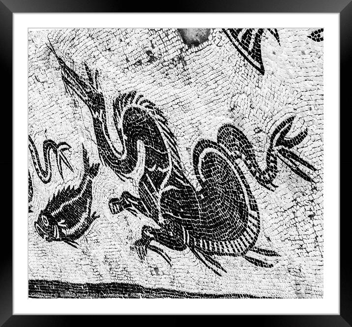 Ancient Dragon Fish Mosaic Italica Roman City Seville Andalusia  Framed Mounted Print by William Perry