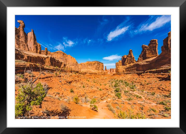Park Avenue Section Arches National Park Moab Utah  Framed Mounted Print by William Perry