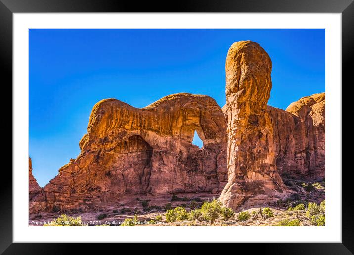 Parade of Elephants Rock Canyon Windows Section Arches National  Framed Mounted Print by William Perry