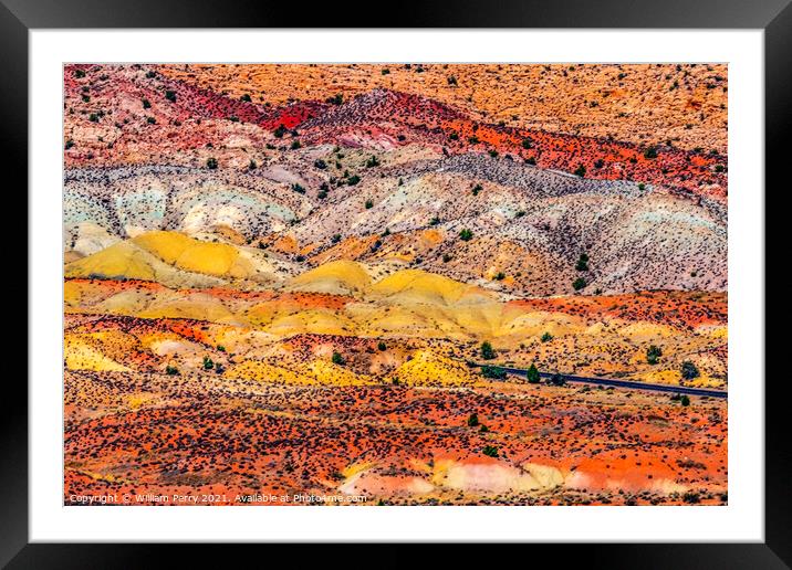 Painted Desert Orange Grass Sandstone White Sand Arches National Framed Mounted Print by William Perry