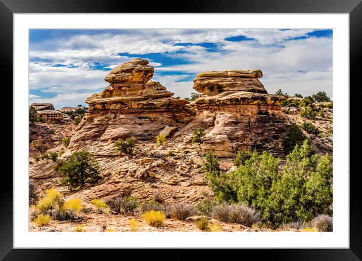 Rock Fromations Near Shoe Arch Canyonlands Needles Utah Framed Mounted Print by William Perry