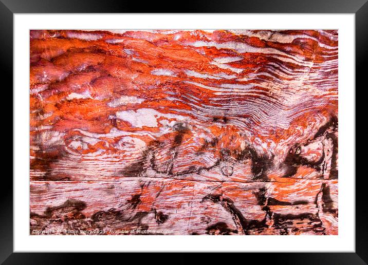 Orange Red Black White Rock Ceiling Royal Tomb Petra Jordan  Framed Mounted Print by William Perry