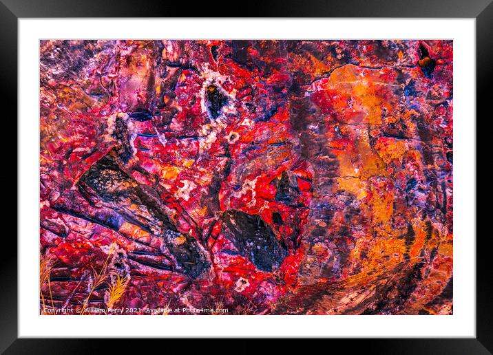 Petrified Wood Rock Abstract National Park Arizona Framed Mounted Print by William Perry