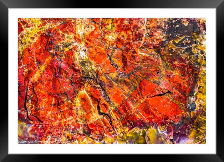 Petrified Wood Rock Abstract Background National Park Arizona Framed Mounted Print by William Perry