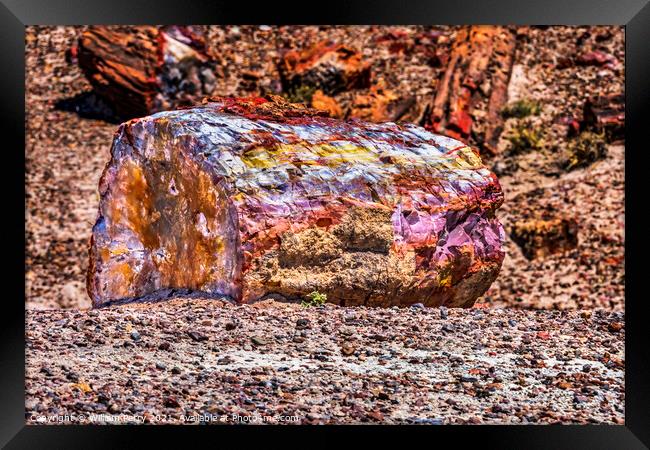 Petrified Wood Rock Abstract National Park Arizona Framed Print by William Perry