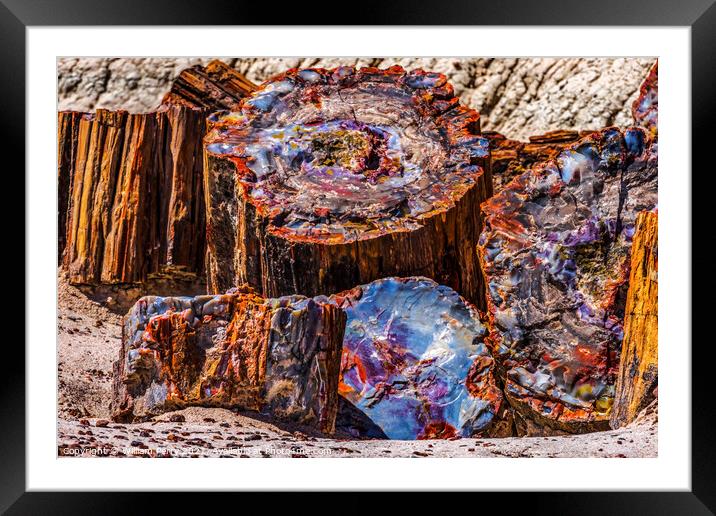 Petrified Wood Rock Logs Abstract National Park Arizona Framed Mounted Print by William Perry