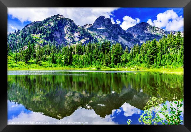 Picture Lake Evergreens Washington USA Framed Print by William Perry
