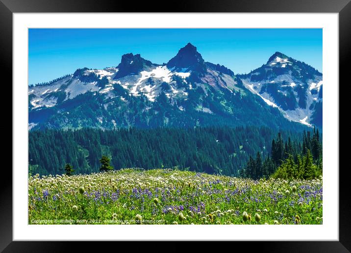 Wildflowers Tatoosh Range Paradise Mount Rainier National Park W Framed Mounted Print by William Perry