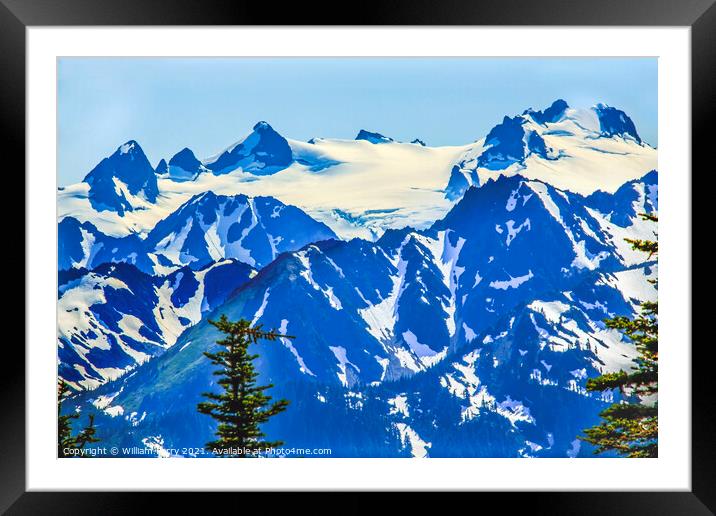 Mount Olympus Snow Mountains Hurricane Ridge Olympic Park Washin Framed Mounted Print by William Perry