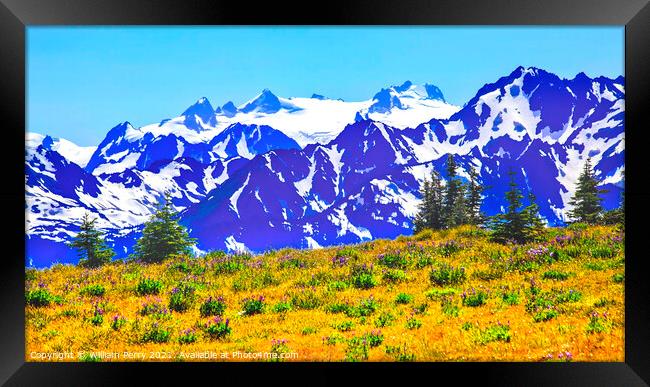 Mount Olympus Snow Mountains Purple Lupine Evergreen Hurricane R Framed Print by William Perry