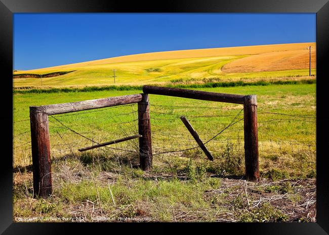 Green Yellow Wheat Grass Fence Blue Skies Palouse Washington Sta Framed Print by William Perry