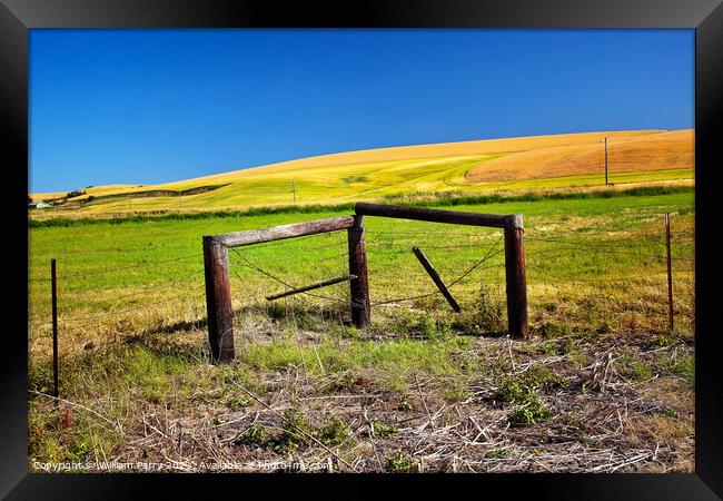Farm Green Yellow Wheat Grass Fence Blue Skies Palouse Washingto Framed Print by William Perry