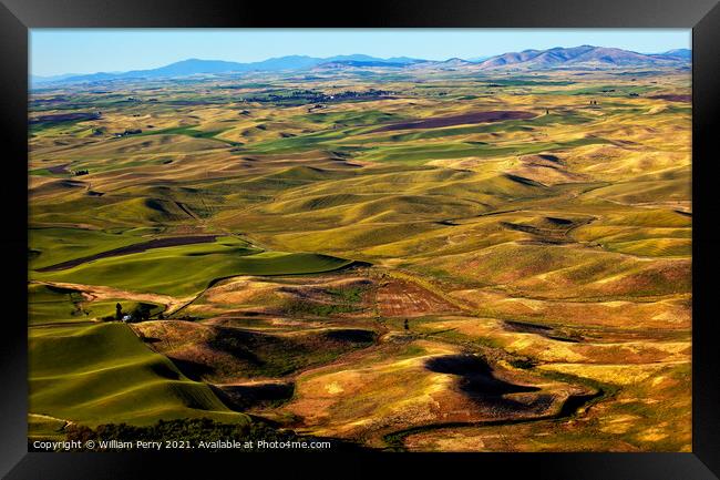 Yellow Green Wheat Fields and Farms from Steptoe Butte Palouse W Framed Print by William Perry