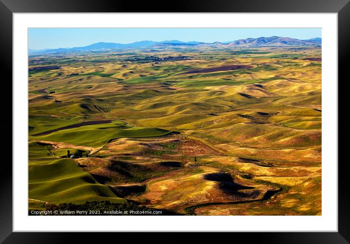 Yellow Green Wheat Fields and Farms from Steptoe Butte Palouse W Framed Mounted Print by William Perry