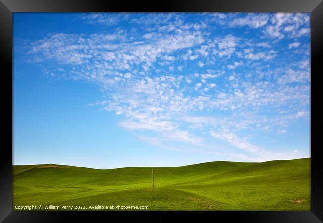 Green Wheat Grass Blue Skies Telephone Pole Palouse Washington  Framed Print by William Perry