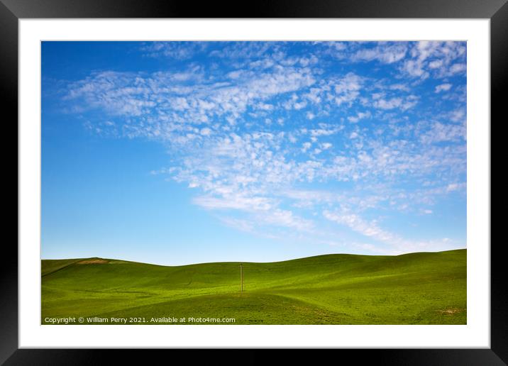Green Wheat Grass Blue Skies Telephone Pole Palouse Washington  Framed Mounted Print by William Perry