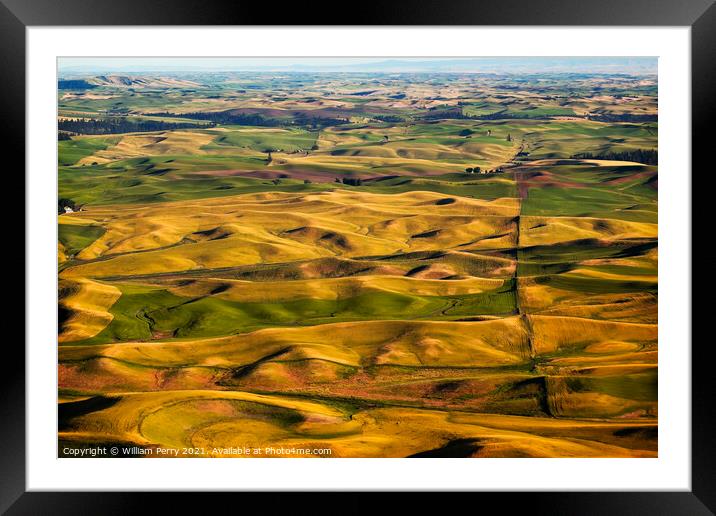 Green Yellow Wheat Grass Farms Palouse Washington State Framed Mounted Print by William Perry