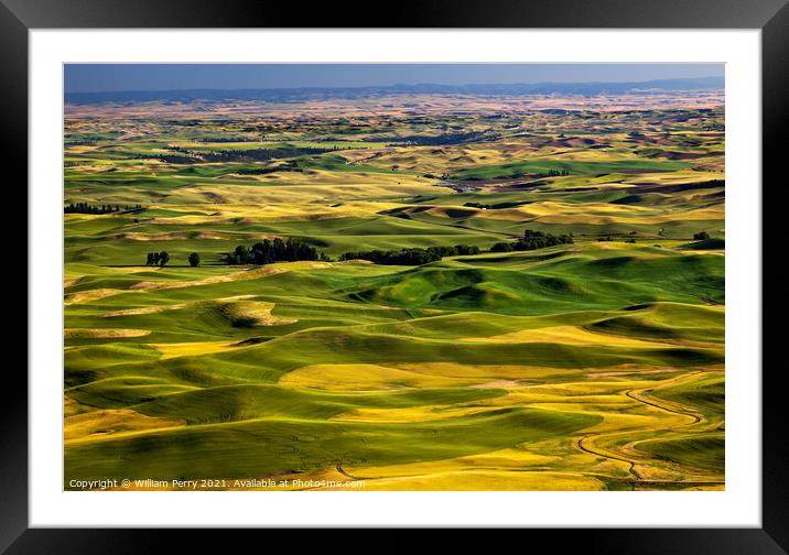 Yellow Green Wheat Fields and Farms from Steptoe Butte Palouse W Framed Mounted Print by William Perry