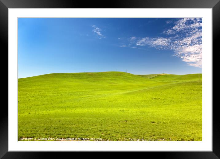Green Wheat Grass Blue Skies Palouse Washington State Framed Mounted Print by William Perry