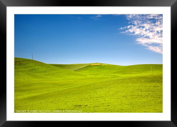 Telphone Poles Green Wheat Grass Blue Skies Palouse Washington Framed Mounted Print by William Perry