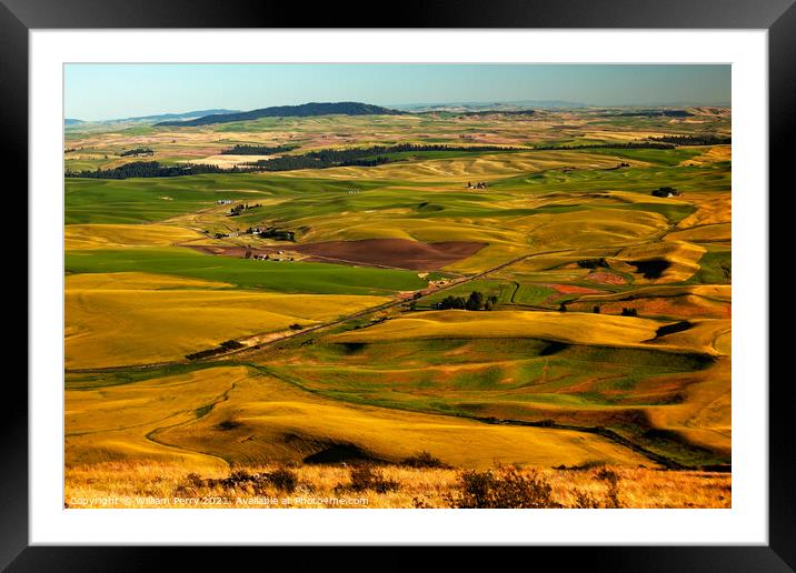 Red Farms Yellow Green Wheat Fields and Farms Palouse Washington Framed Mounted Print by William Perry