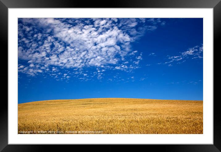 Ripe Wheat Field Palouse Washington State Framed Mounted Print by William Perry