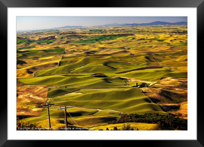 Green Wheat Grass Palouse Washington State Framed Mounted Print by William Perry